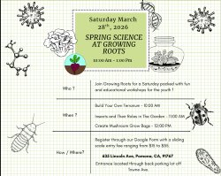 Spring Science at Growing Roots